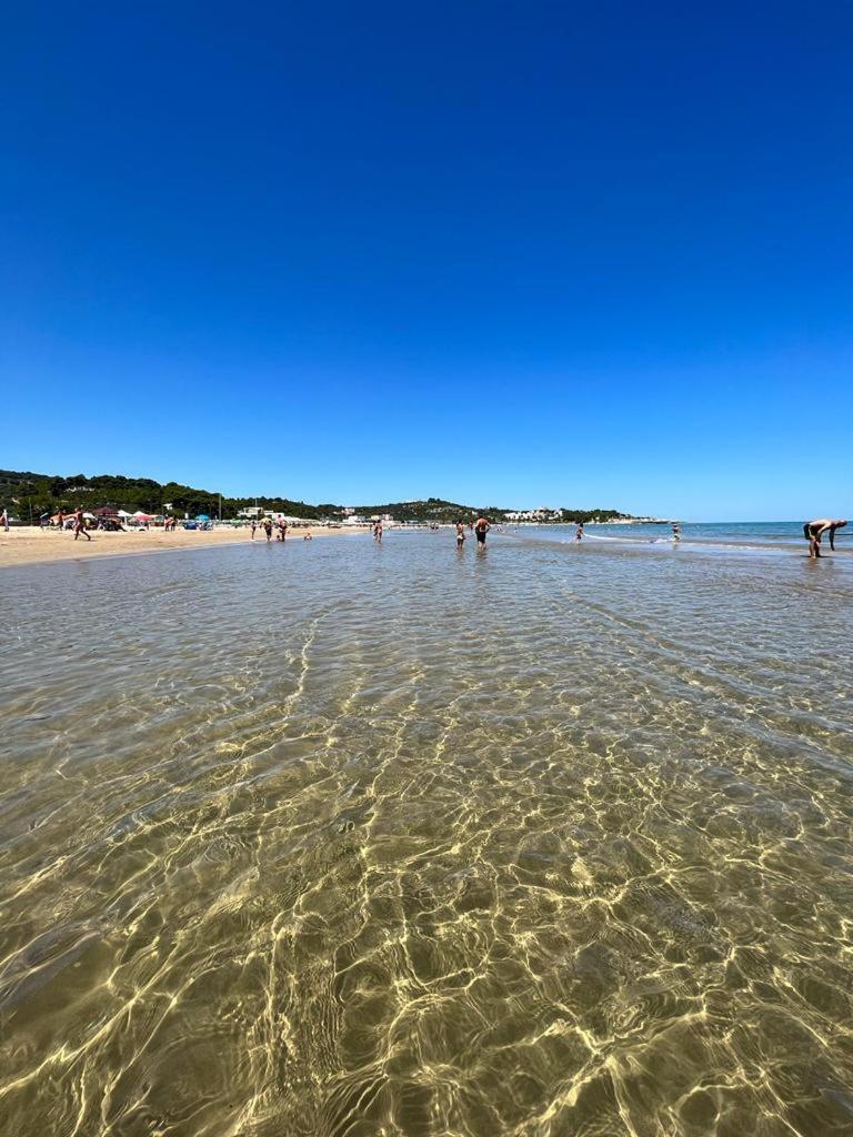 Appartamenti Le Porte Del Gargano ヴィエステ エクステリア 写真